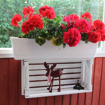 Wanha Bed & Breakfast 3*