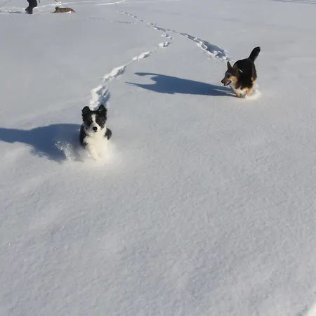 Bed & Breakfast Wanha