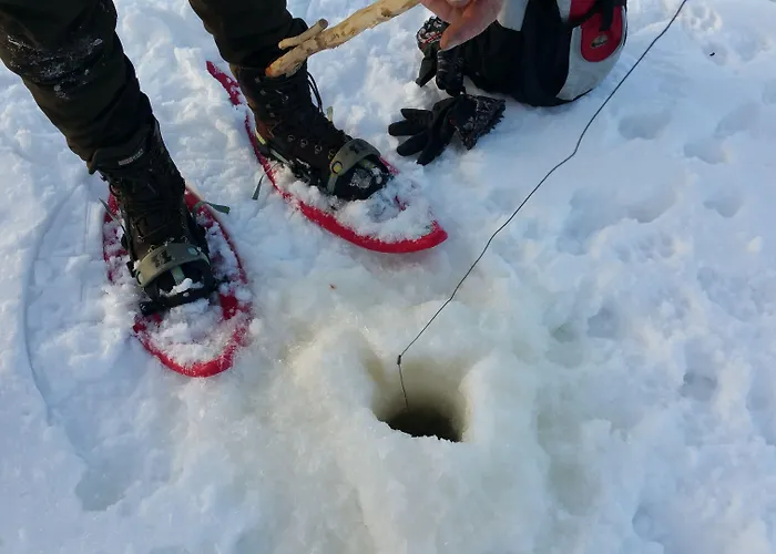 Bed & Breakfast Wanha