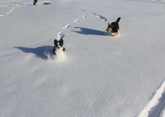 Bed & Breakfast Wanha